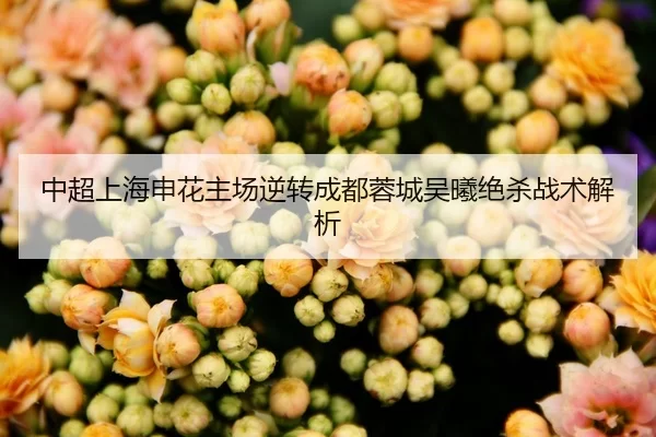 中超上海申花主场逆转成都蓉城吴曦绝杀战术解析